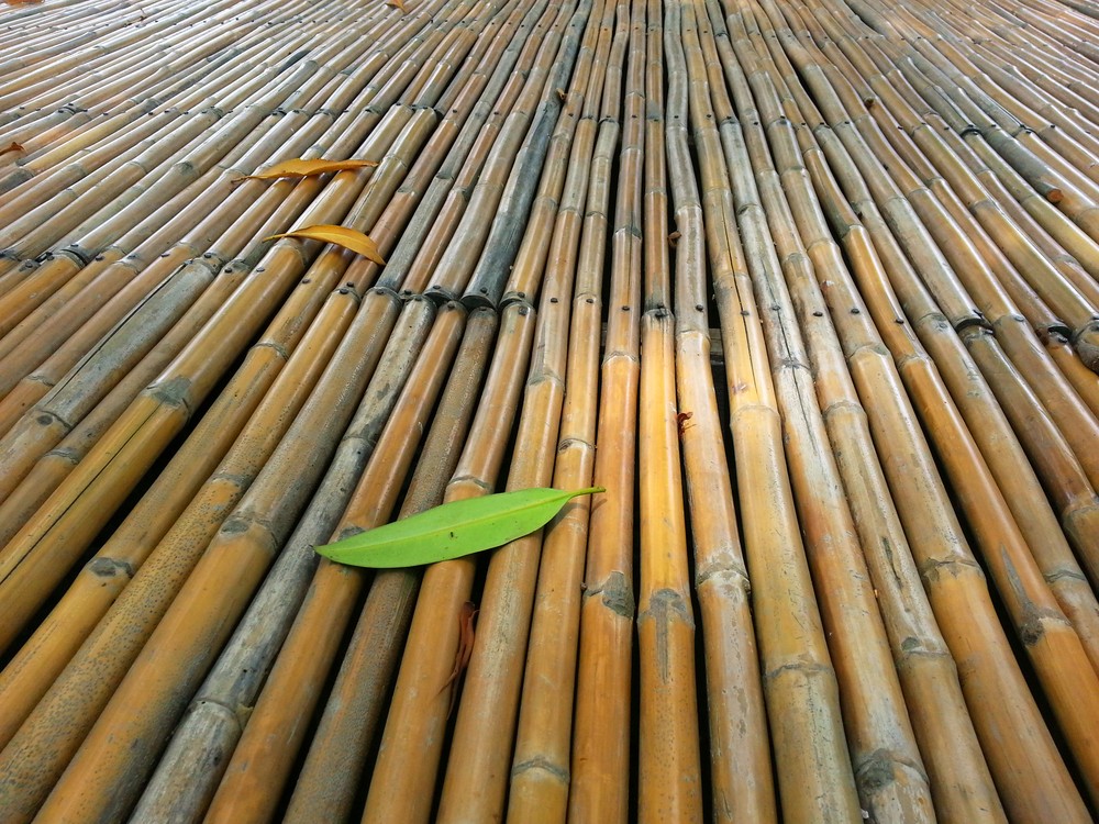 Bamboo Based Fuel image