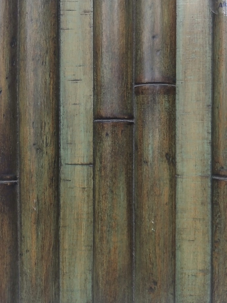 Bamboo Img